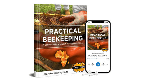 Practical Beekeeping ebook and Audio MP3